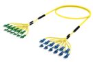 UNGLCLACF [DBL RUGGED 24F LC UPC-LC APC SM]