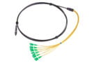 MHD-ACC-F12J-0050F [12_fiber_test_cable_assy_ASC_version]