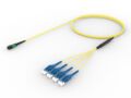 URGQPLUF8 [ARRAY 8F MPO - LU SM]