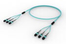 UGXQXQXTF [TRUNK MPO08 24F MPO - MPO MM OM4]