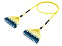 1688498 | FPM-07/7-AT019M-39/25 [DBL RUGGED 24F SC UPC-SC UPC SM]