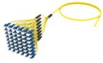 ALGLGUCCL [DBL RUGGED 96F LC- UC SM]