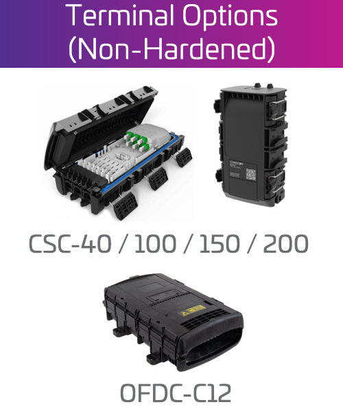 non-hardenend-terminal-options